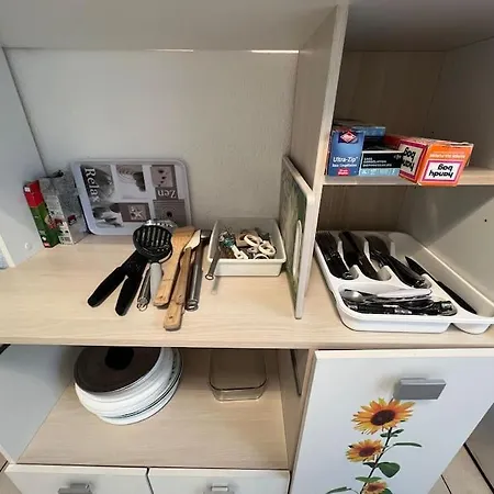 Di Castelli T2 Avec Piscine *